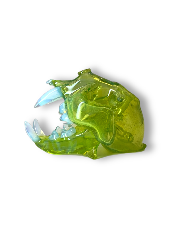 78 Glass | Skull Rig